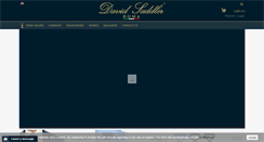 Desktop Screenshot of davidsaddler.com